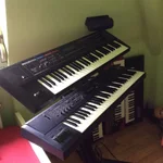 Foto 26.03.15 13 50 37.webp
