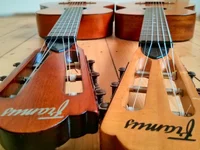 Framus_Bild1.webp