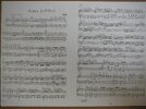 Haydn.JPG