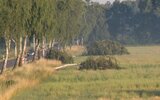 IMG_8047.JPG