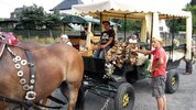 20150808_161844.jpg