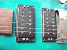 Schaller Pickups front small.webp