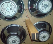 DSC00156.webp