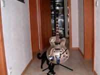 Gitarre 002.webp