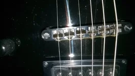 IMAG1420.webp
