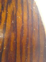 Parlor Boden Detail.webp