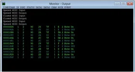 Midi.webp