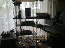 08082010001.jpg