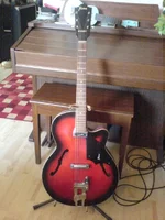 Framus ganz.webp
