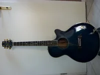 P1020583.webp
