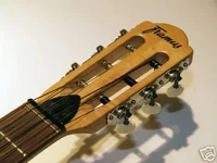 7041_1.webp