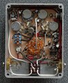 ratte1.jpg