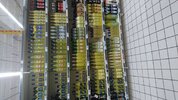 IMG-20160904-WA0025.jpeg IMG-20160904-WA0025.jpeg