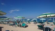 IMG-20160904-WA0035.jpeg IMG-20160904-WA0035.jpeg
