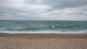 IMG-20160905-WA0049.jpg IMG-20160905-WA0049.jpg