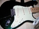 Fender verkleinert1.JPG