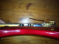 cane_700_434_no_03.webp