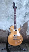Harley Benton L-450 GT 2013 3,8kg Minihumbucker conversion.jpg