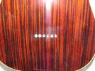 Harley Benton TE-70 Rosewood 2016 back flash.jpg