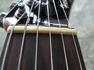 Harley Benton TE-70 Rosewood 2016 nut.jpg