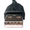 USB_Male_Plug_Type_A.jpg