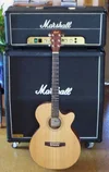 Cort Acoustic1.webp