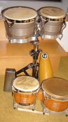 Bongos 2008_915x1627.JPG