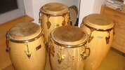 Congas 2008_1655x931.JPG