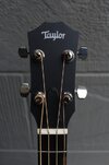 taylor-gs-mini-e-bass07.jpg