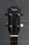 taylor-gs-mini-e-bass07.jpg