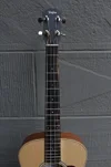 taylor-gs-mini-e-bass10.jpg