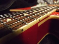 DSCF361275.webp