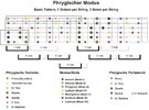 Basic-Pattern-1-Octave-per-String-3-Notes-per-String-phrygisch-Big Picture.jpg