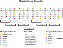 Mixolydisch-Big Picture.gif