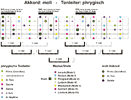 moll-phrygisch-Big Picture.gif