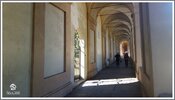 20170430_094409 stennes-falter Bologna Rosenkranzweg.jpg