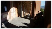 20170430_095627 stennes-falter Bologna Rosenkranzweg.jpg