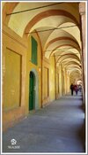 20170430_104306 stennes-falter Bologna Rosenkranzweg.jpg