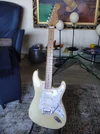 white_strat_494x660.webp