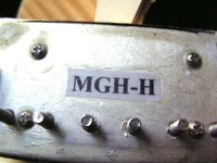 BaCH Hals MGH-H.jpg