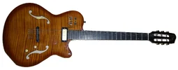 Godin Jazz-SA.webp