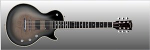 Gibson-6.JPG