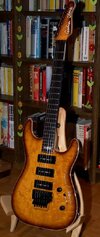 Godin02.jpg