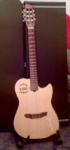 Godin Multiac Nylon Duett.jpg