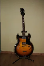 Archtop1klein.webp