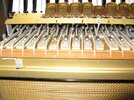 IMG_2582.JPG