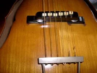 450 Steg Tailpiece2003_resized.webp