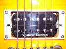Duncan Pickups017 klein.JPG