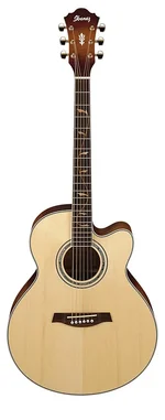 ibanez AEL 40 SE-RLV.webp