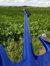 20170827_162136.jpg 20170827_162136.jpg